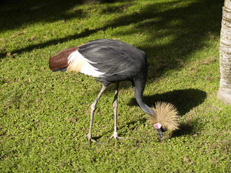 Similar image 463844