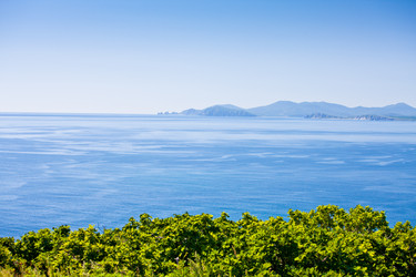 Similar image 463877