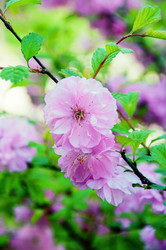 Similar image 463878