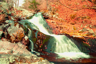 Similar image 463880