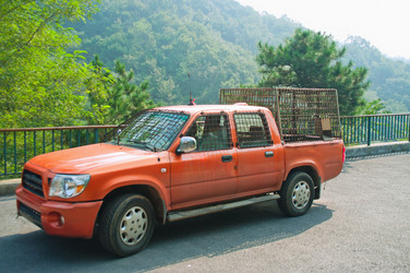 Similar image 463883