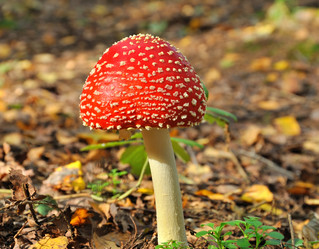 Similar image 463916