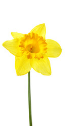 Similar image 463922