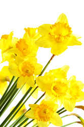 Similar image 463924