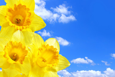 Similar image 463926