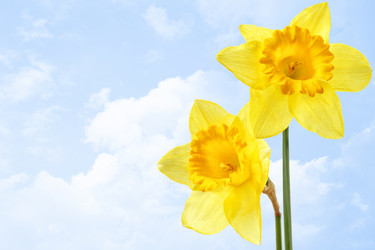 Similar image 463927