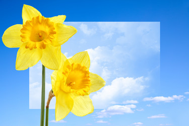 Similar image 463929