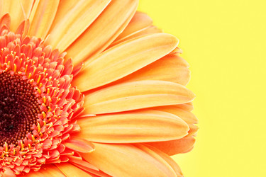 Similar image 463931