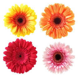 Similar image 463934