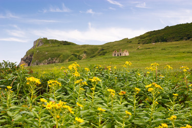 Similar image 463935