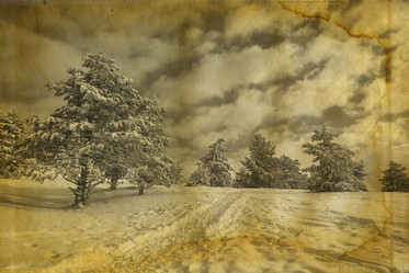 Similar image 463973