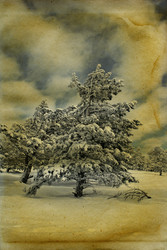 Similar image 463977