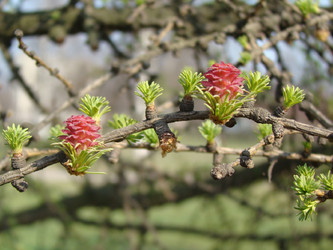 Similar image 463986