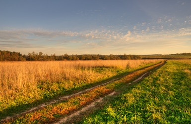 Similar image 463988