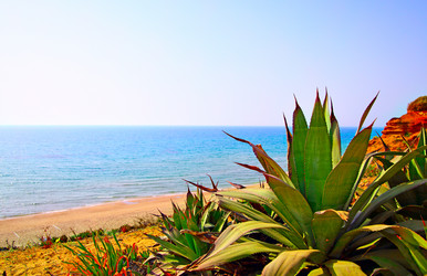 Similar image 464019