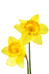 Similar image 464027