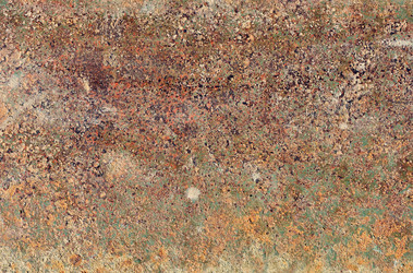 Similar image 464049