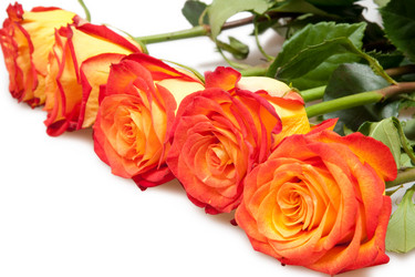 Similar image 464053