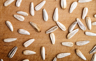 Similar image 464059