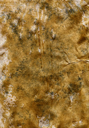 Similar image 464070