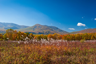 Similar image 464180