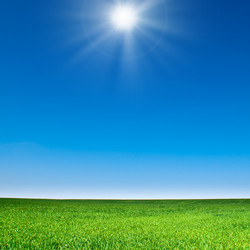 Similar image 464186