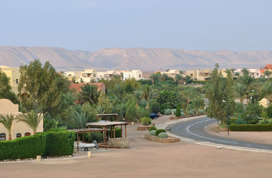 Similar image 464193