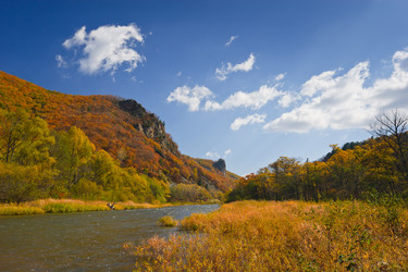 Similar image 464194