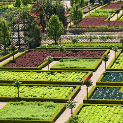 Similar image 464205