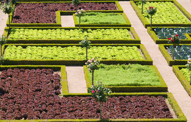 Similar image 464207