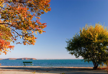 Similar image 464208