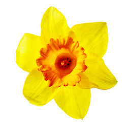 Similar image 464209