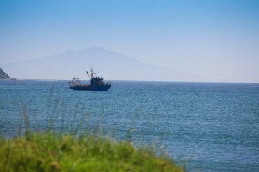 Similar image 464226