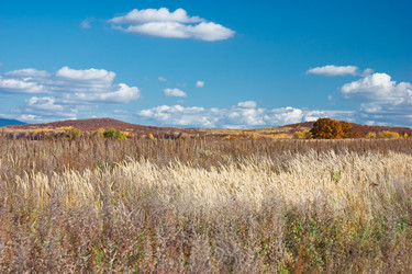 Similar image 464234