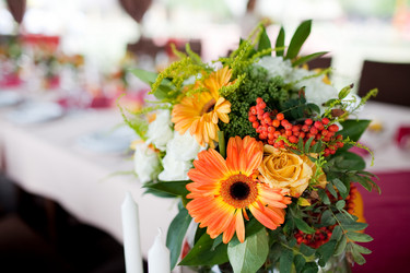 Similar image 464256