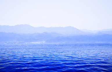 Similar image 464264