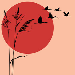 Similar image 464288