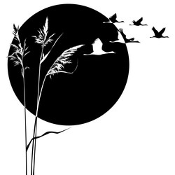 Similar image 464293