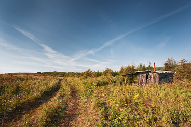 Similar image 464304