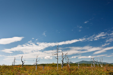 Similar image 464307