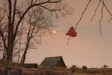 Similar image 464326