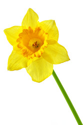 Similar image 464337