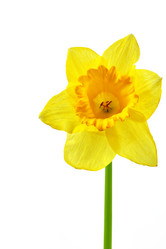 Similar image 464339