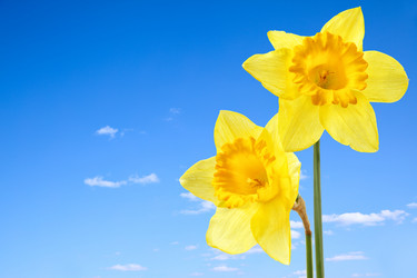 Similar image 464341