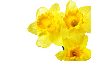 Similar image 464343