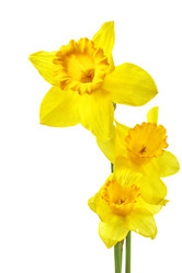 Similar image 464344