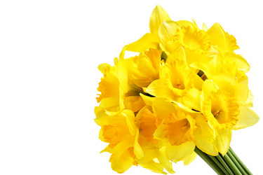 Similar image 464345