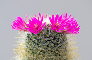 Similar image 464347