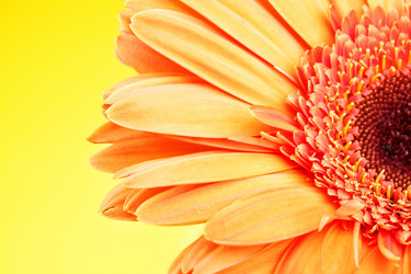 Similar image 464354