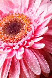 Similar image 464357